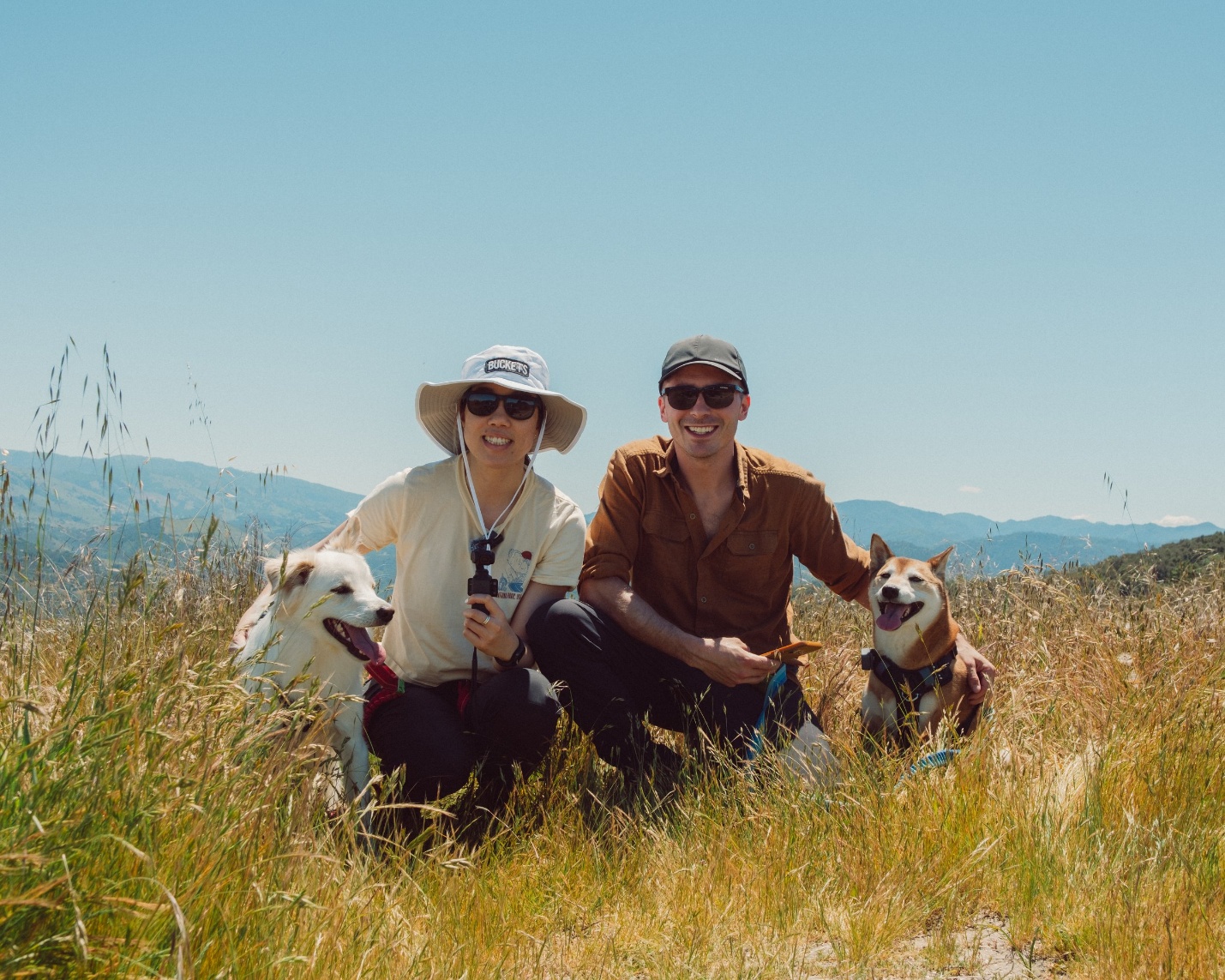 Gianna, Stephen, Kilo and Kujo on a grassy hillside.